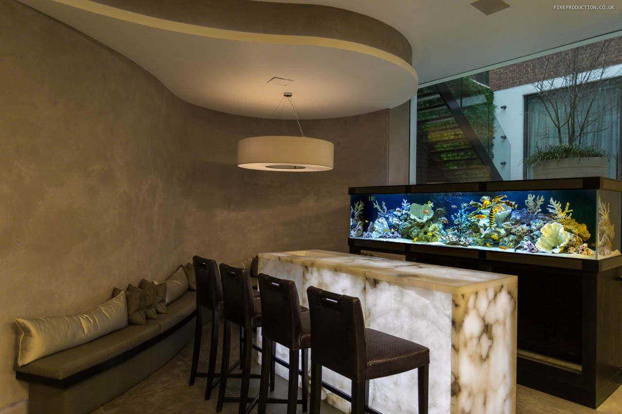 London Aquarium Installation Photoshoot Thumbnail